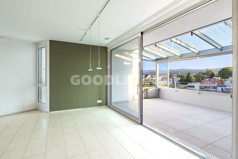 Living comfort with large terrace (3)