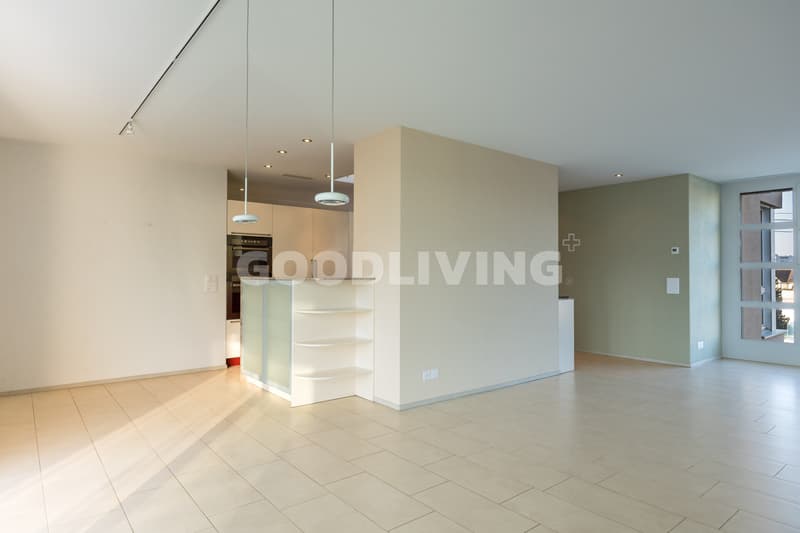 Living comfort with large terrace (6)
