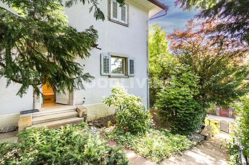 Rarität mit Potenzial am Zürichberg (2)
