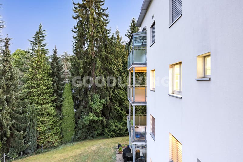 Ankommen in Horgen (12)