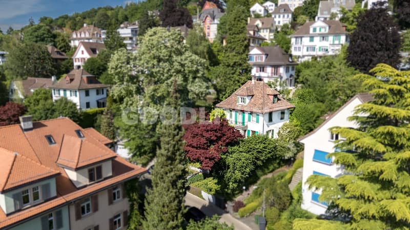 Charakterhaus mit Ausbaupotenzial (1)