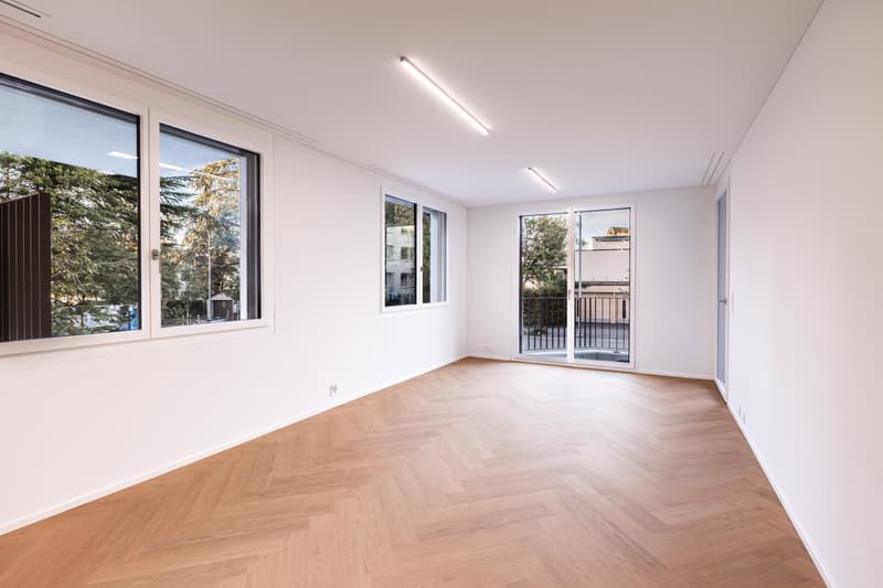 Erstbezug mit Wohnkomfort in Zürich-Höngg (2)