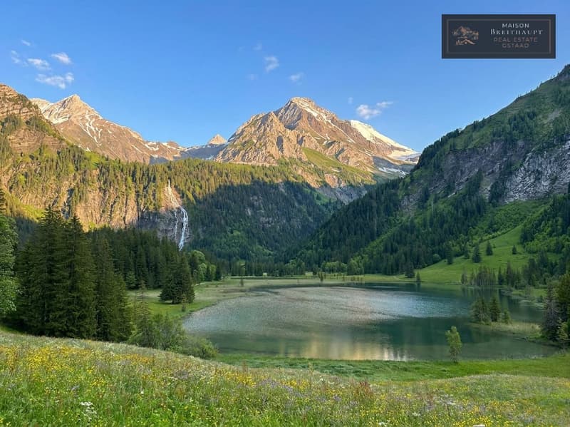 Luxuriöses 5½ -Zimmer-Chalet mit atemberaubender Sicht in Lauenen b. Gstaad (8)