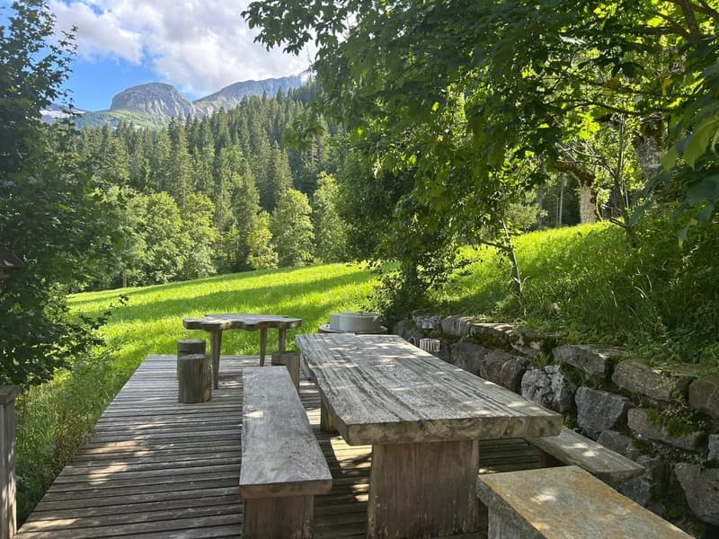 Luxus-Chalet - lichtdurchflutet mit Panoramasicht und höchster Privatrphäre (6)
