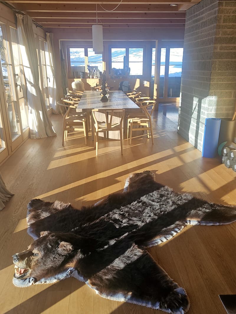 Lichtdurchflutetes Chalet - Panoramasicht und höchste Privatsphäre (3)
