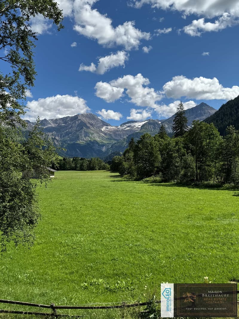 Idyllisches 5½-Zimmer Neubau-Chalet mit Bergsicht (3)