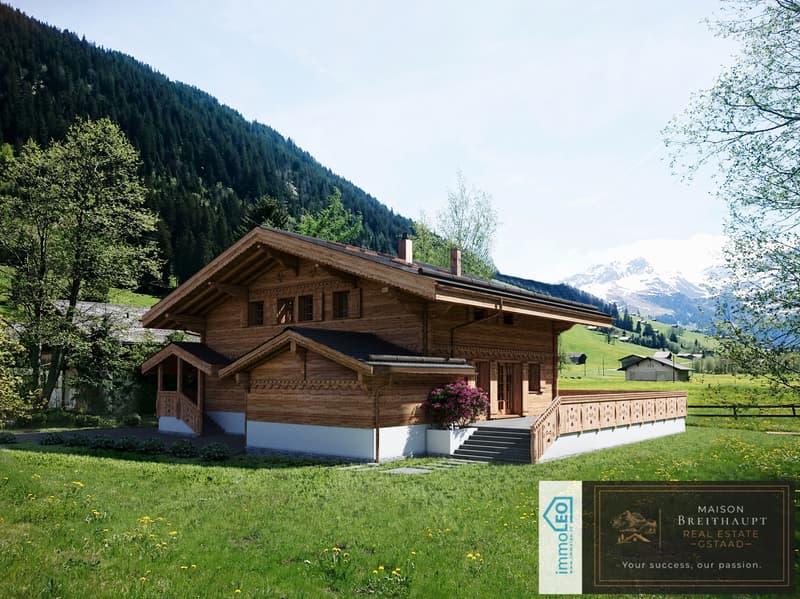 Idyllisches 5½-Zimmer Neubau-Chalet mit Bergsicht (2)