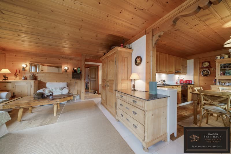 Wohnliche 3½ Zimmerwohnung mit lauschigem Sitzplatz und Garten (3)