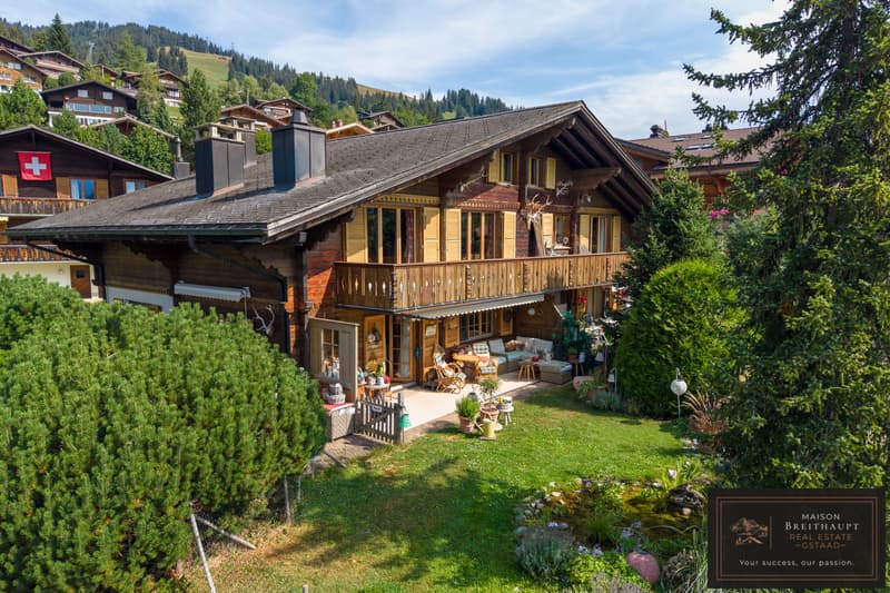 Wohnliche 3½ Zimmerwohnung mit lauschigem Sitzplatz und Garten (1)