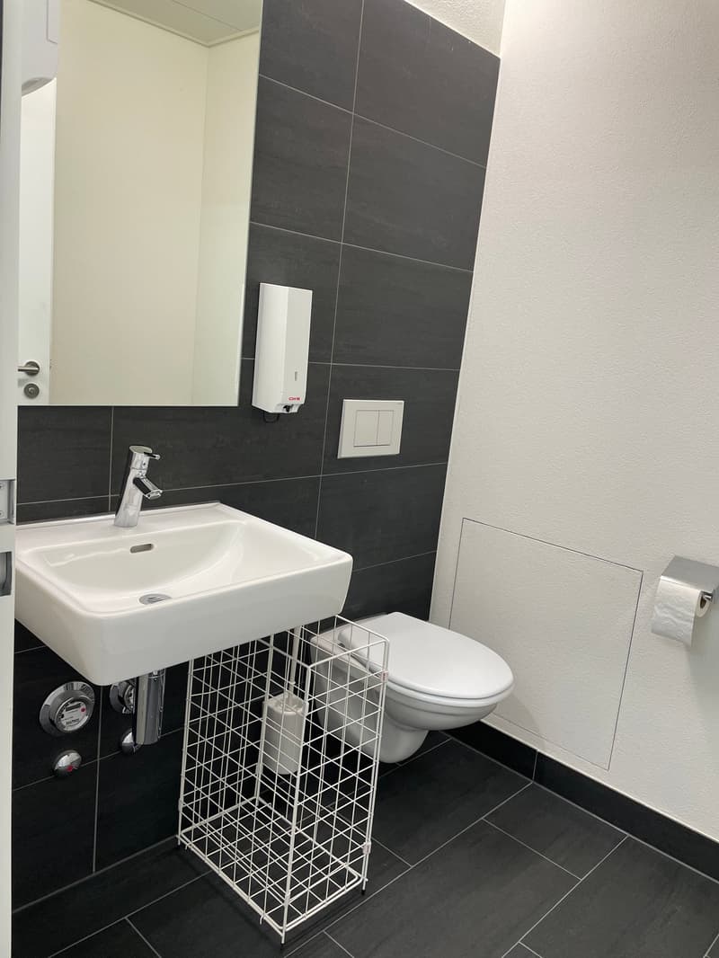 Bathroom with white sink, mirror, toilet, and black tiles