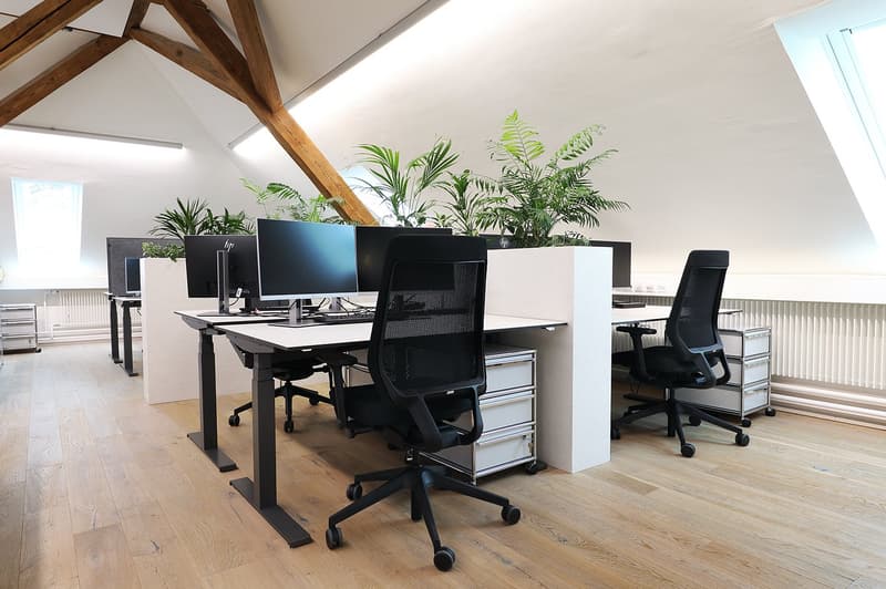 Espace de bureau représentatif avec ambiance loft et équipement moderne (2)