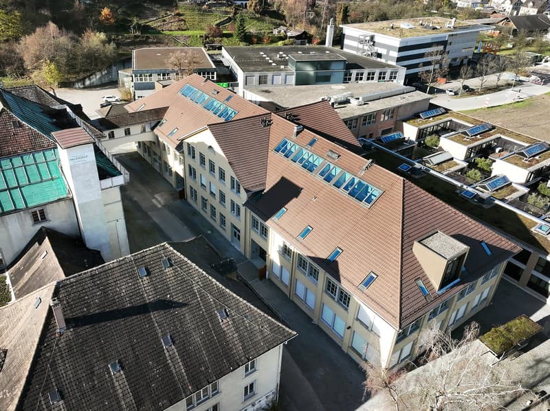 Espace de bureau représentatif avec ambiance loft et équipement moderne (12)