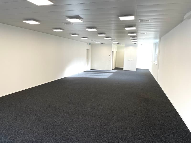 Spazio ufficio al piano terra attraente con presenza clienti ottimale (5)