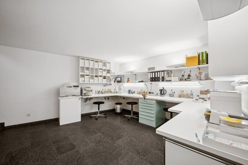 Your new business location with showcase effect (12)