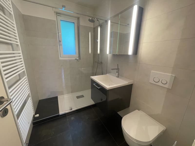 Einfamilienhaus 4.5 Zimmer (12)