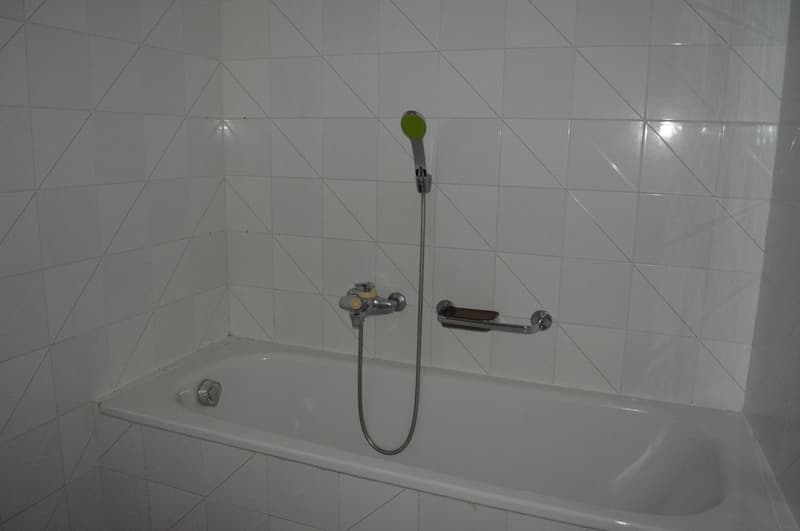 Charming 2.5-room apartment in the village center (6)