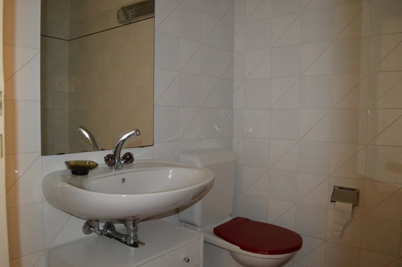 Charming 2.5-room apartment in the village center (7)