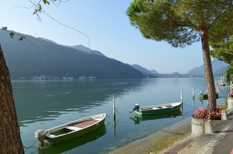 Charming 2.5-room apartment in the village center (1)