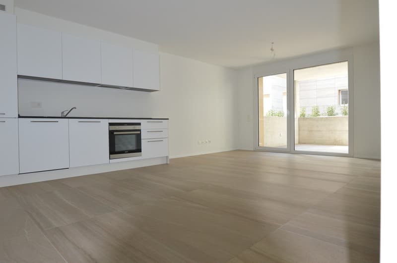 NEW 2.5-ROOM APARTMENT WITH LARGE TERRACE (2)