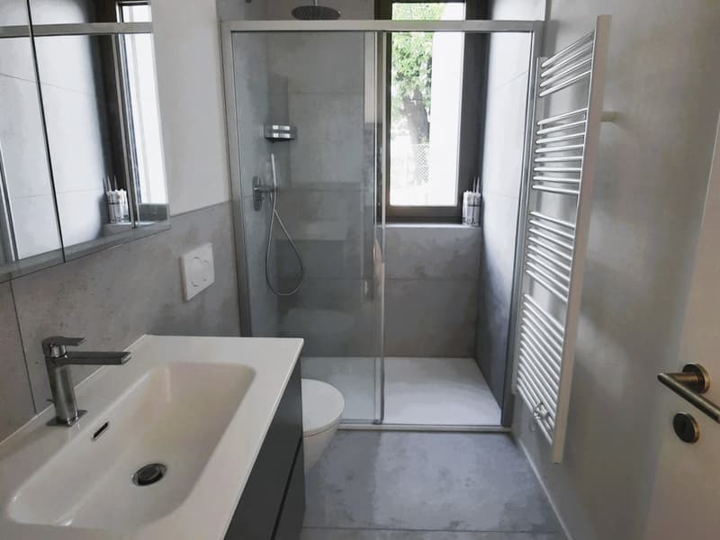 NEUES 2.5-ZIMMER-APARTMENT, GROßER GARTEN UND SEEBLICK (7)