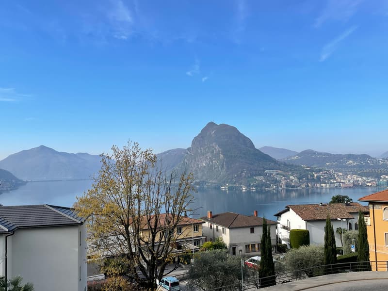 DUPLEX-Wohnung 3.5 mit atemberaubendem Seeblick (13)