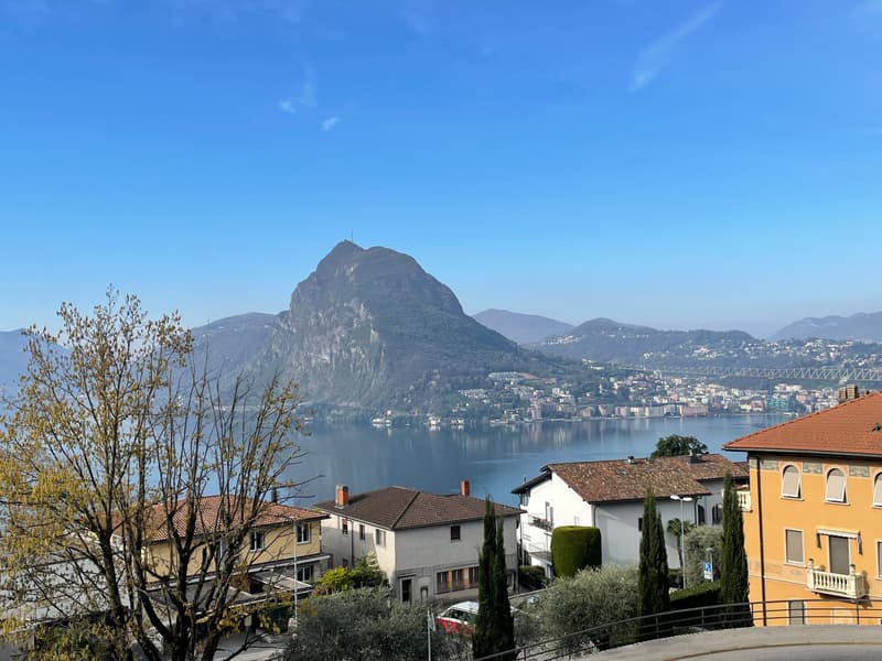 DUPLEX-Wohnung 3.5 mit atemberaubendem Seeblick (12)
