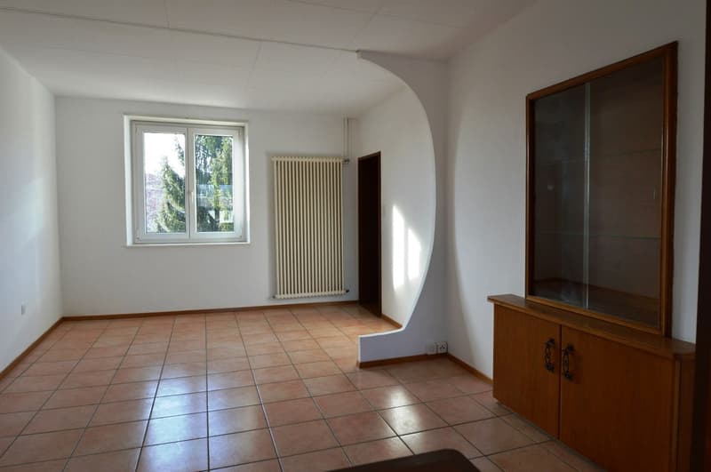 STABILE A REDDITO NEL NUCLEO CON GIARDINO (11)
