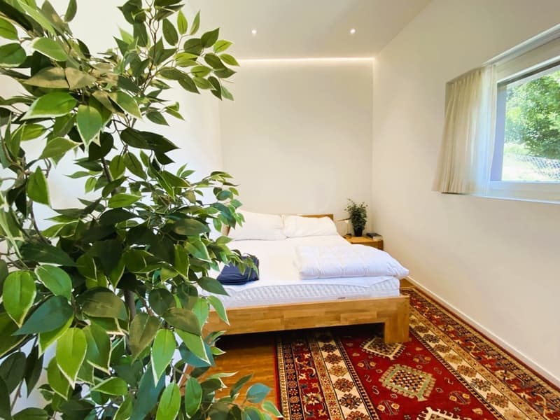 Villa unifamiliale prestigieuse (11)