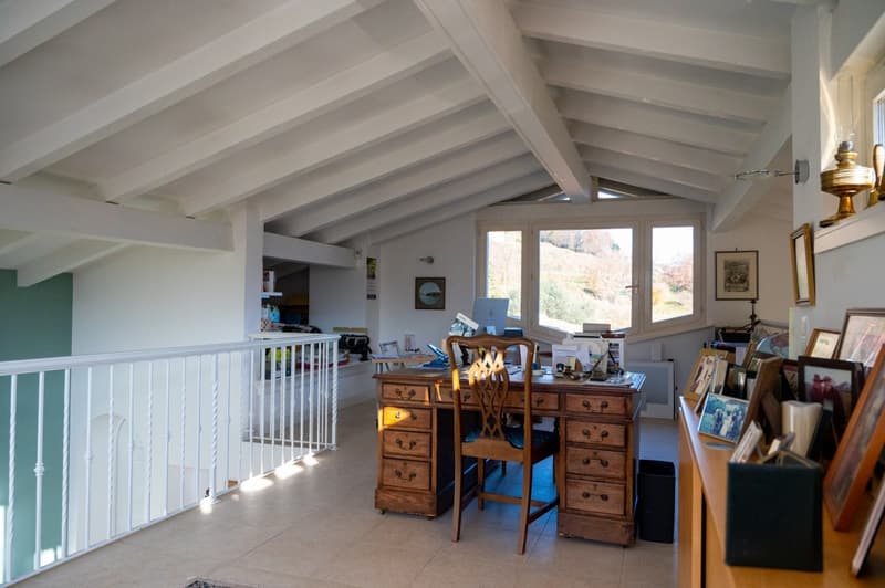 Important villa surrounded by a large park with lake view (8)