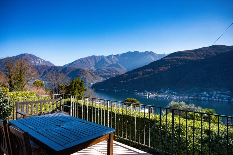 Important villa surrounded by a large park with lake view (6)