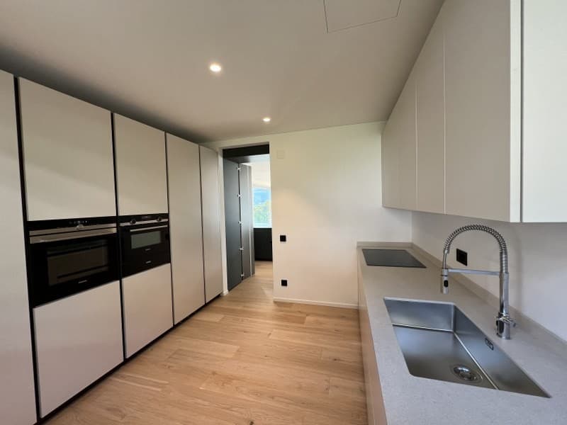 Fabulous attic with beautiful covered terrace and enchanting panoramic view of the lake (11)
