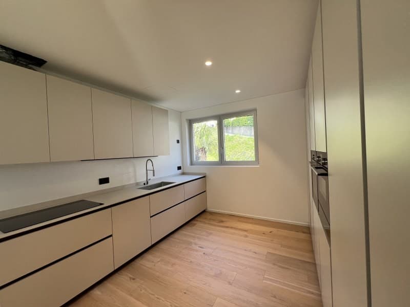 Fabulous attic with beautiful covered terrace and enchanting panoramic view of the lake (10)