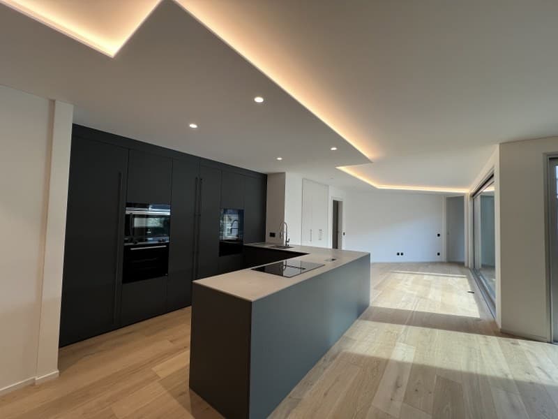 Fabulous attic with beautiful covered terrace and enchanting panoramic view of the lake (8)