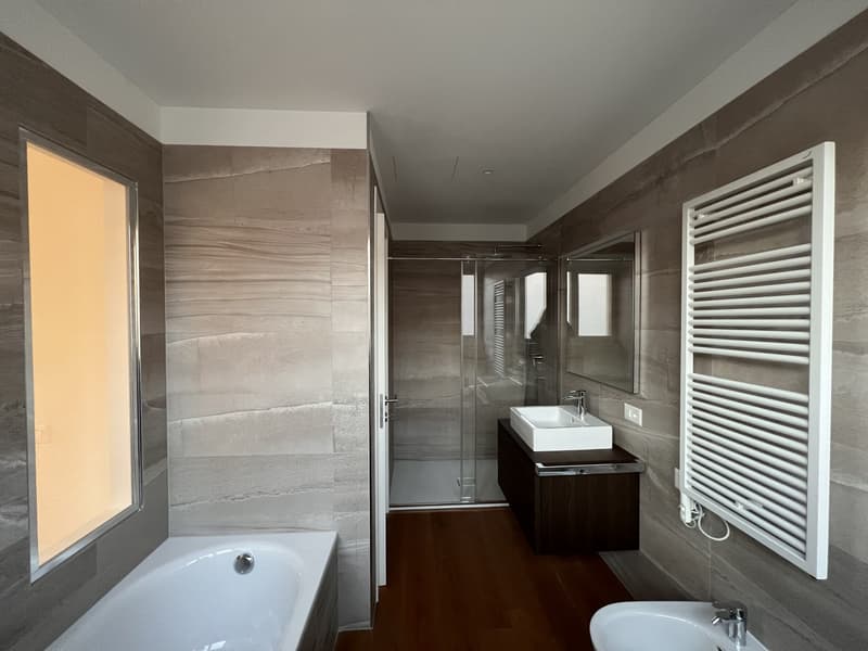 Attic apartment with 4.5 rooms and splendid lake view (9)