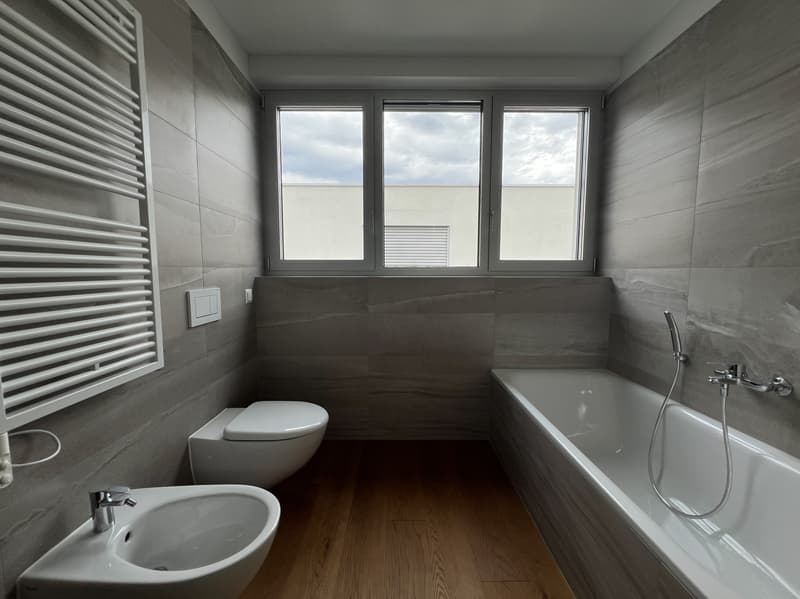 Attic apartment with 4.5 rooms and splendid lake view (11)