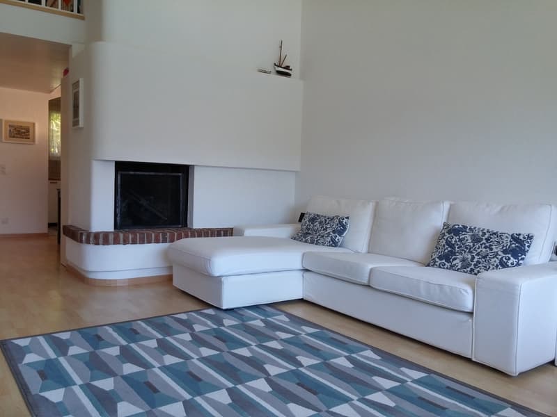 Appartement 3,5 pièces dans un quartier ensoleillé avec vue sur le lac (2)