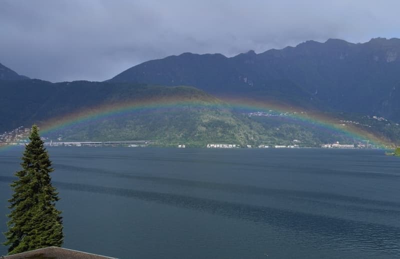 Appartement 3,5 pièces dans un quartier ensoleillé avec vue sur le lac (9)