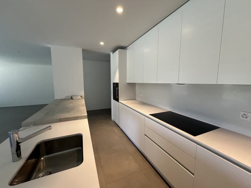 Appartement 3.5 pièces entouré de verdure (6)