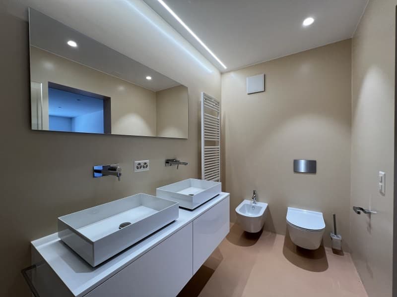 Appartement 3.5 pièces entouré de verdure (12)