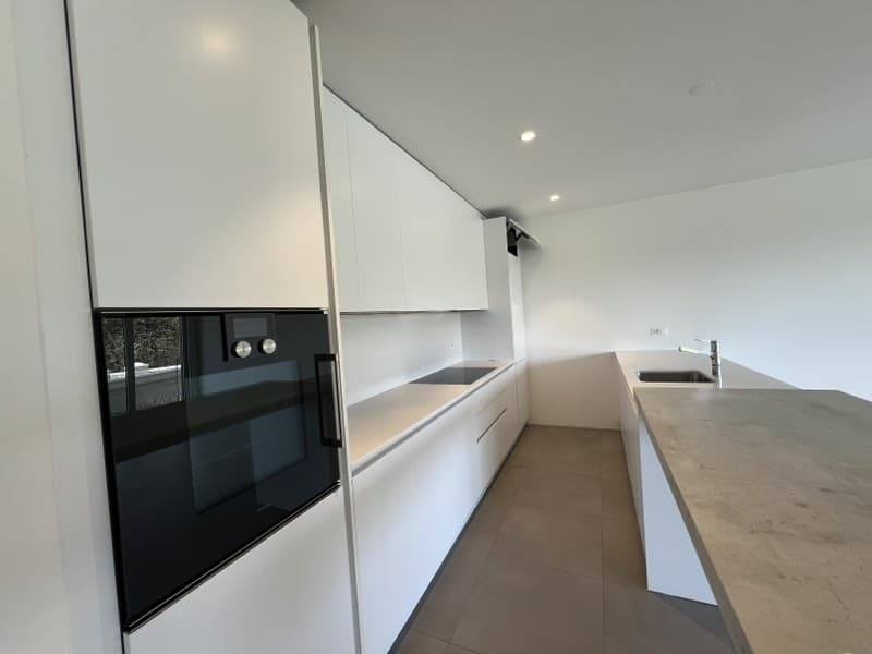 Appartement 3.5 pièces entouré de verdure (5)