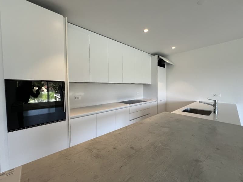 Appartement 3.5 pièces entouré de verdure (4)