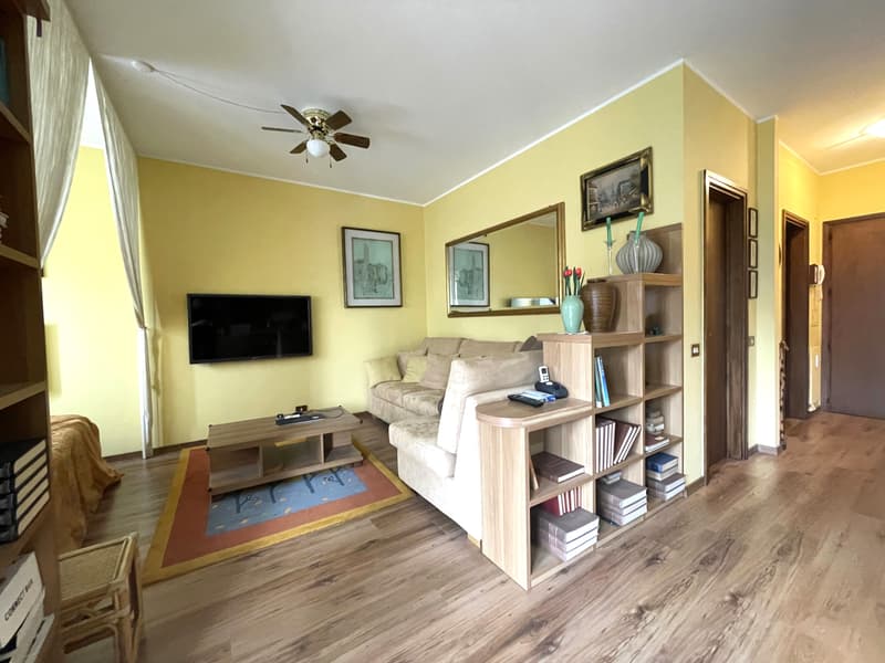 2.5 Room Apartment with Panoramic Lake View (4)