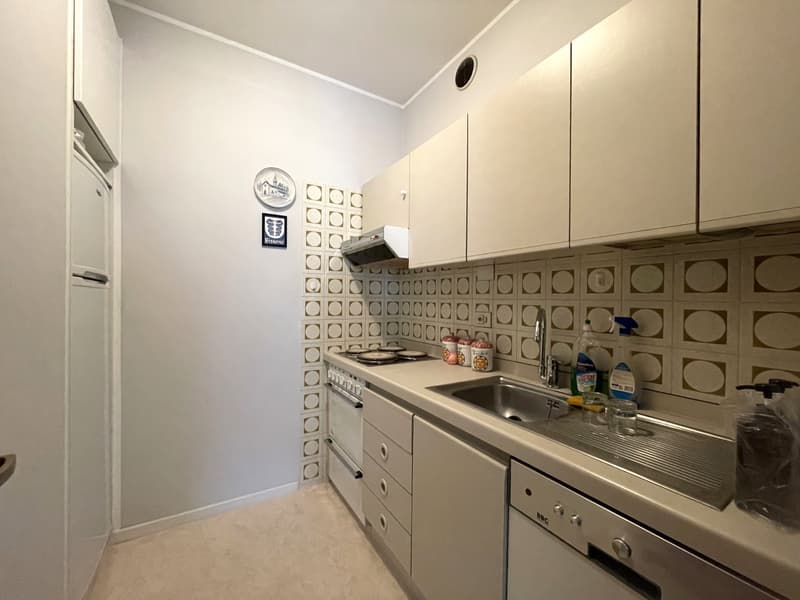 2.5 Room Apartment with Panoramic Lake View (6)
