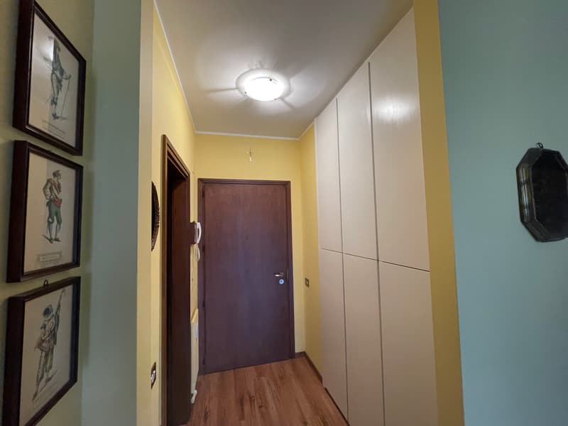 2.5 Room Apartment with Panoramic Lake View (7)
