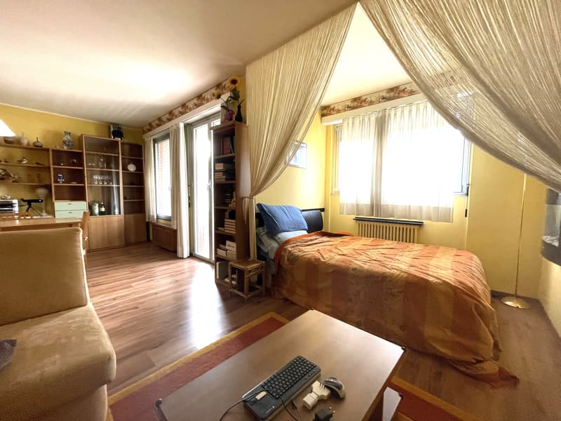 2.5 Room Apartment with Panoramic Lake View (5)