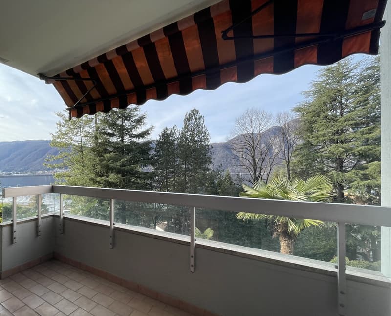 2.5 Room Apartment with Panoramic Lake View (9)