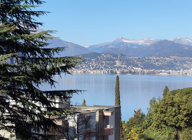 2.5 Room Apartment with Panoramic Lake View (2)