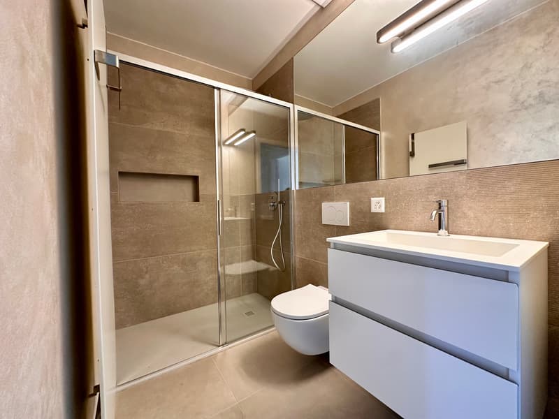 APPARTAMENTO 4.5 LOCALI RISTRUTTURATO - IN PALAZZINA CON PISCINA CONDOMINIALE (11)