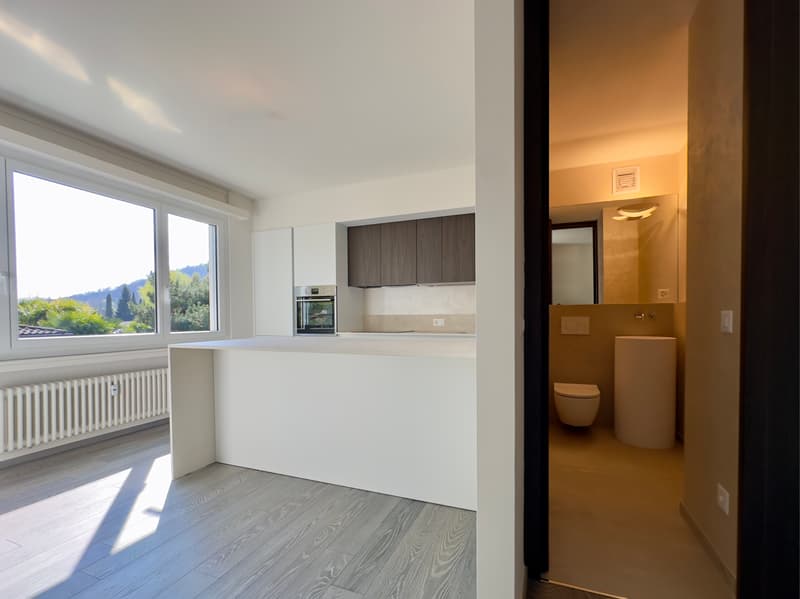 APPARTAMENTO 4.5 LOCALI RISTRUTTURATO - IN PALAZZINA CON PISCINA CONDOMINIALE (3)