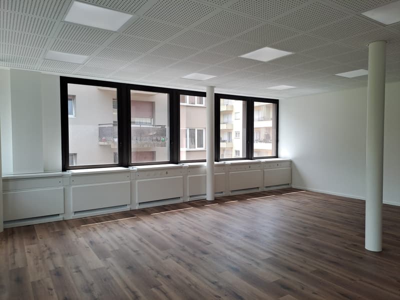 Prestigious office in Molino Nuovo (2)